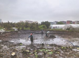 即墨河道鱼塘清淤